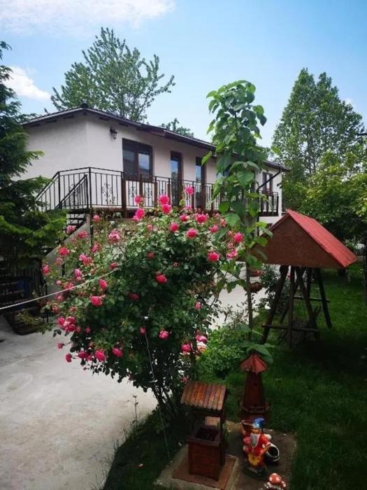 Casa Tibi Si Nico Hotel Eforie Nord Ngoại thất bức ảnh